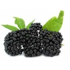 Kara Mürver Reçeli  400 g