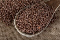 Köy Mercimeği (Hekimhan)) – 1 kg