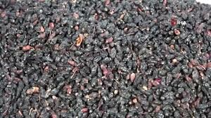 Karamuk Kurusu 200 gr