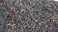 Karamuk Kurusu 200 gr