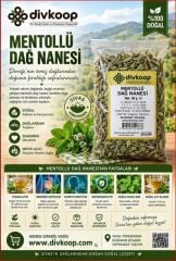 Mentollü Dağ Nanesi